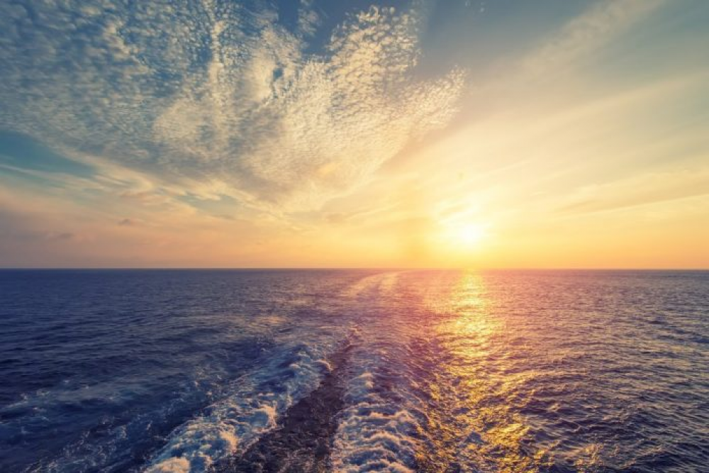 Evento promosso da GAL PARTHENOPE

L'evento 