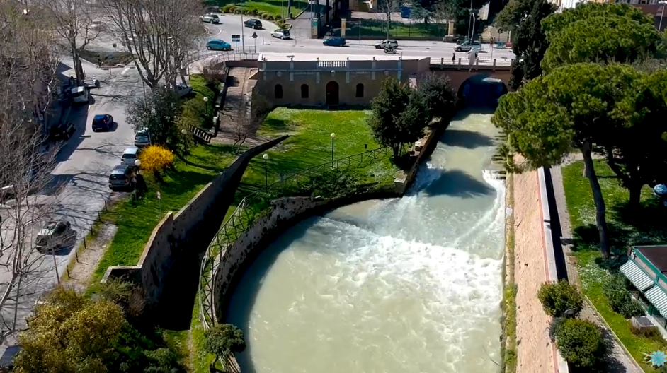 DARSENA BORGHESE &mdash; Mondo Olistico