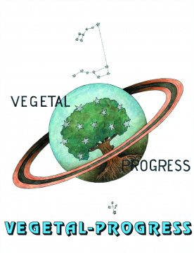 VEGETAL-PROGRESS SRL - 